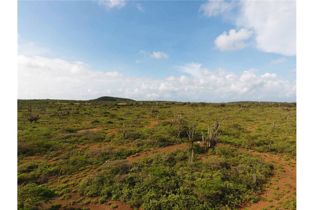 Land For Sale Bolivia, Bonaire, Bonaire 900171001451 , RE/MAX